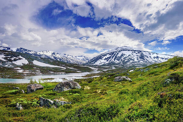 Europe Art Print featuring the photograph Green carpet under the cotton sky by Dmytro Korol