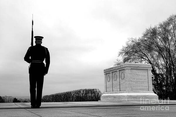 Tomb Art Print featuring the photograph Guarding the Unknown Soldier by Olivier Le Queinec