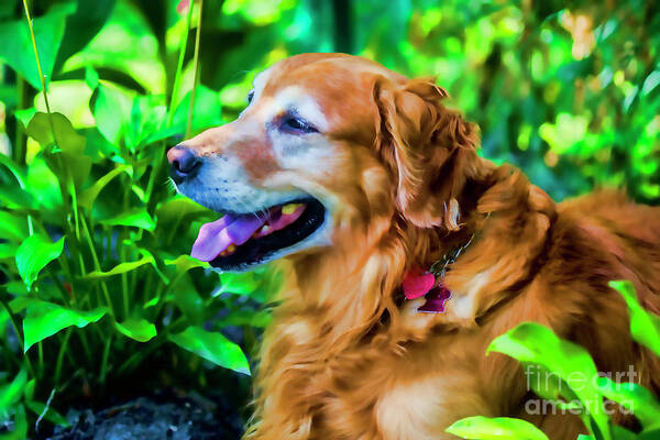 Gus Art Print featuring the photograph Gus in Flower Bed 10357T2A by Doug Berry