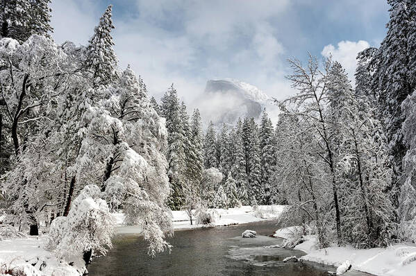 Half Dome Art Print featuring the photograph Half Dome from Sentinel Bridge Snowstorm by Tibor Vari