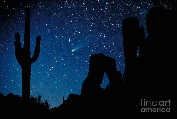 Halley's Comet Art Print featuring the photograph Halley's Comet by Frank Zullo