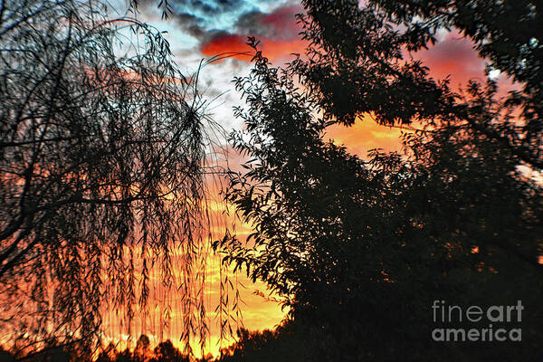 Nature Art Print featuring the photograph Halloween Sunrise 2015 by DB Hayes