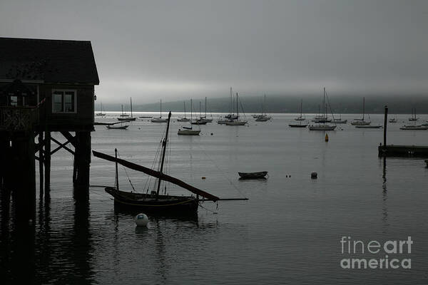 Harbor Art Print featuring the photograph Harbor Fog by Timothy Johnson