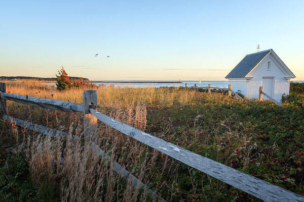 Cape Cod Art Print featuring the photograph Harbor Shed by Bill Wakeley