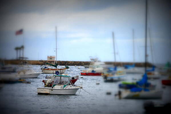 Sailboats Art Print featuring the photograph Harbour Boats by Bill Hamilton