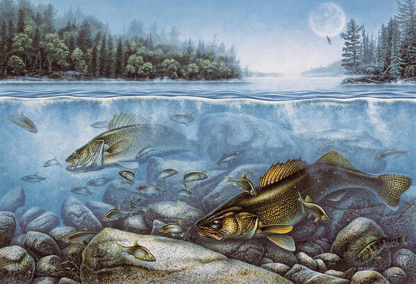 Jon Q Wright Art Print featuring the painting Harvest Moon Walleye II by JQ Licensing