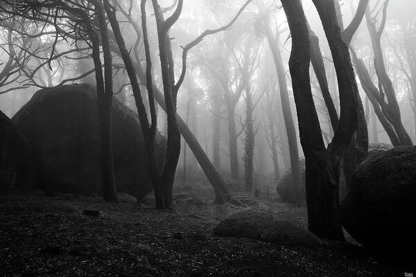 Jorgemaiaphotographer Art Print featuring the photograph Haunted woods by Jorge Maia