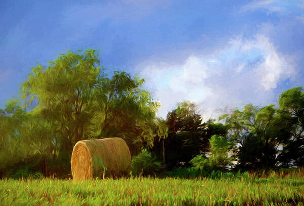 Hay Roll Art Print featuring the photograph Hay Roll - Nebraska Field by Nikolyn McDonald
