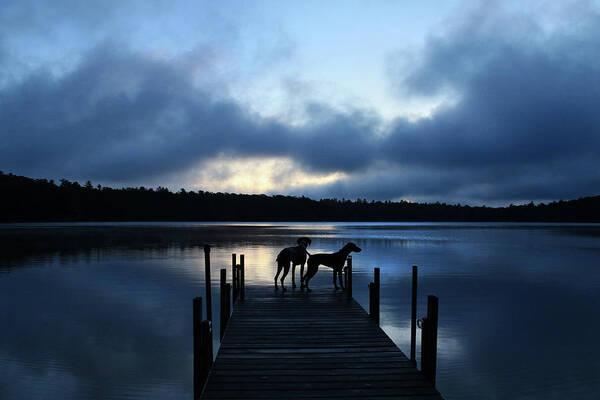 Dock Art Print featuring the photograph Hear the Peace Feel the Quiet by Brook Burling