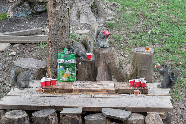 Grey Squirrels Art Print featuring the photograph Heated game of beer pong by Dan Friend