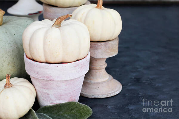 Thanksgiving Art Print featuring the photograph Heirloom and Mini Pumpkins on Rustic Table by Stephanie Frey
