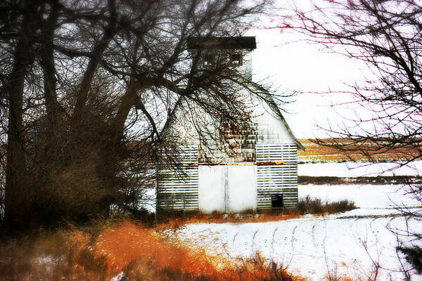 Barn Art Print featuring the photograph Hello there by Julie Hamilton