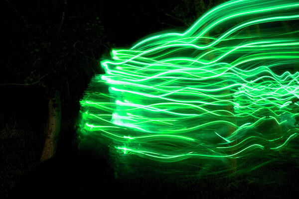 Light Art Print featuring the photograph Her Spirit Lives in the Woods by Ellery Russell