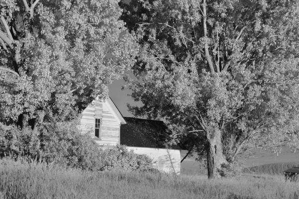 Agriculture Art Print featuring the photograph Hidden House in Washington II by Jon Glaser