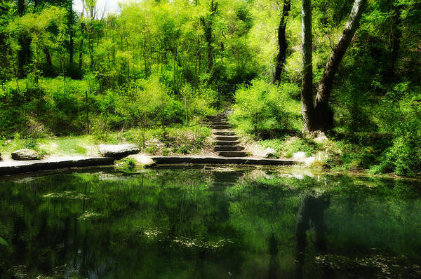 Pond Art Print featuring the photograph Hidden Pond at Schuylkill Valley Nature Center by Bill Cannon