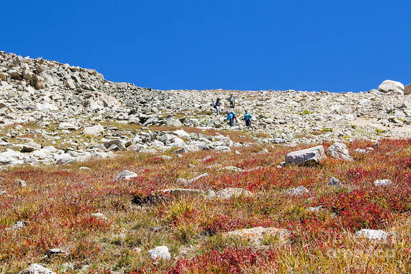Hiking Art Print featuring the photograph Hikers Climbing Down from Summit on Mount Yale Colorado by Steven Krull