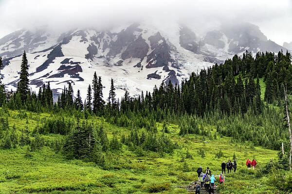 Cascade Art Print featuring the photograph Hiking on Mount Rainier by Roslyn Wilkins