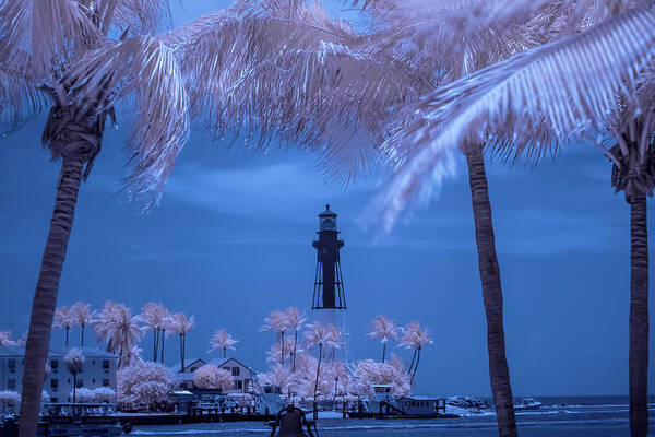 Hillsboro Inlet Lighthouse Infrared #hillsboro Lighthouse # Hillsboro Inlet # Lighthouse # Historic Lighthouse # Hillsboro Inlet Lighthouse # Pompano Beach Art Print featuring the photograph Hillsboro Inlet Lighthouse infrared by Louis Ferreira