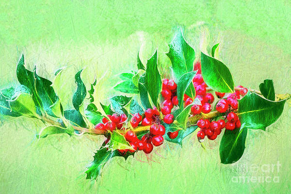 Holly Branch Art Print featuring the photograph Holly Berries Photo Art by Sharon Talson