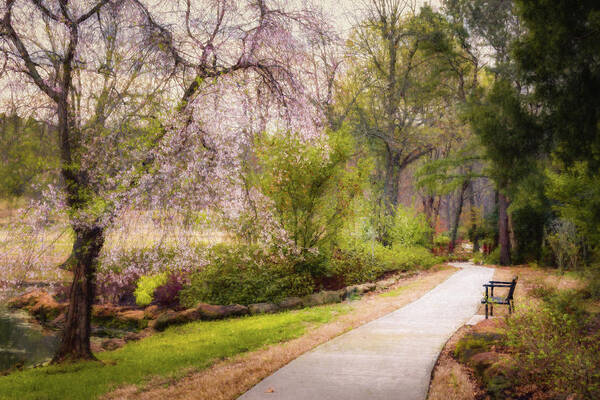 Muskogee Art Print featuring the photograph Honor Heights Pathway by James Barber