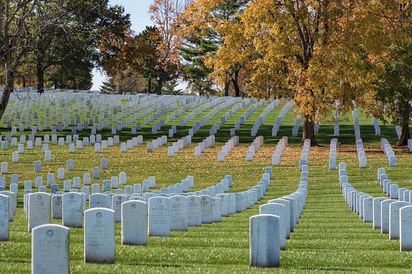 Jefferson Barracks National Cemetery Art Print featuring the photograph Honoring Americans by Holly Ross
