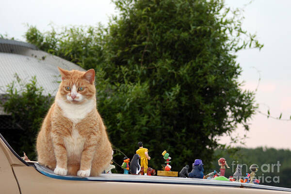 Cats Art Print featuring the photograph Hood Ornaments by Joy Tudor