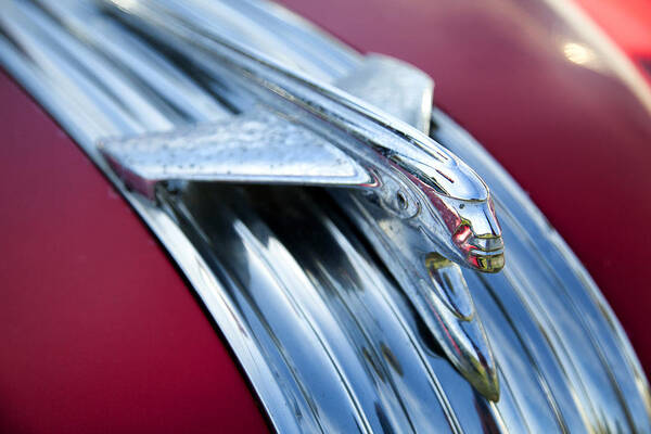 Hood Ornament Art Print featuring the photograph Hoodie by CA Johnson