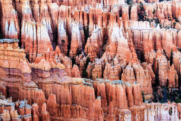 Bryce Canyon National Park Art Print featuring the photograph Hoodoos at Bryce Canyon Utah by Ben Graham