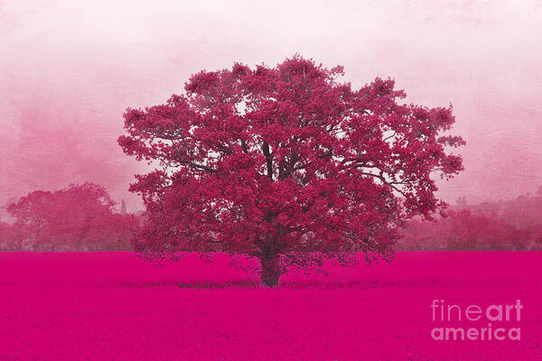 Field Art Print featuring the photograph Hot Tree In A Field Of Pink by Terri Waters