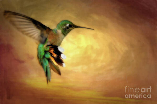 Fine Art Photography Art Print featuring the photograph Hummingbird in Flight #2 by John Strong