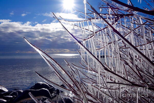 Red Osier Art Print featuring the photograph Icy Superior View by Sandra Updyke