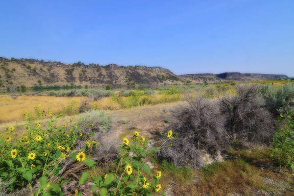 Idaho Art Print featuring the photograph Idaho Landscape by Bonnie Bruno