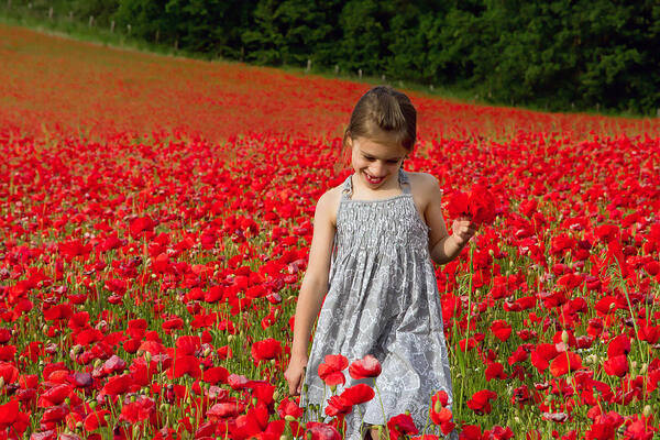 Poppies Art Print featuring the photograph In A Sea Of Poppies by Keith Armstrong