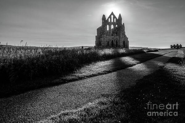 England Art Print featuring the photograph In the shade BW by Mariusz Talarek