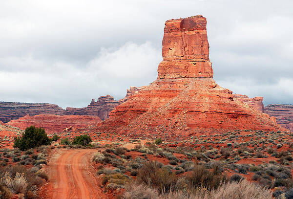 Valley Art Print featuring the photograph In the Valley of the Gods by Nicholas Blackwell