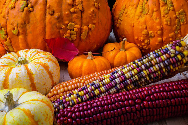 Colorful Art Print featuring the photograph Indian Corn With Knucklehead Pumpkins by Garry Gay