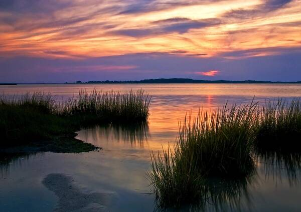 Sunset Art Print featuring the photograph Indian River Bay at sunset by Bill Jonscher