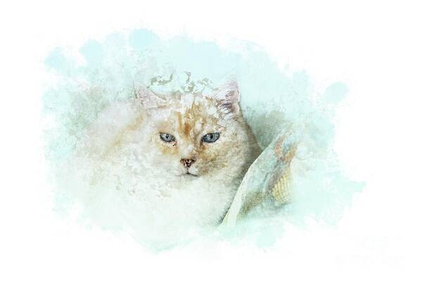 Cat Art Print featuring the mixed media Indigo by Eva Lechner