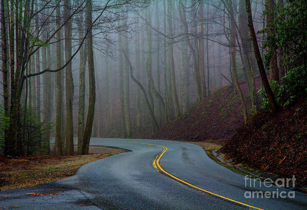 Mist Art Print featuring the photograph Into the Mist by Douglas Stucky