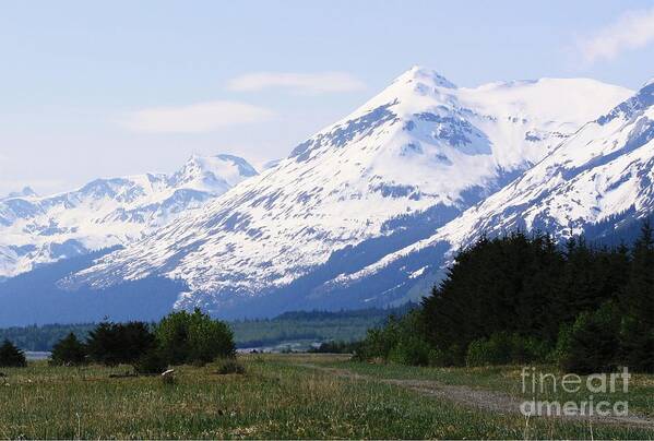 Alaska Art Print featuring the photograph Into the Wilderness by Laurinda Bowling