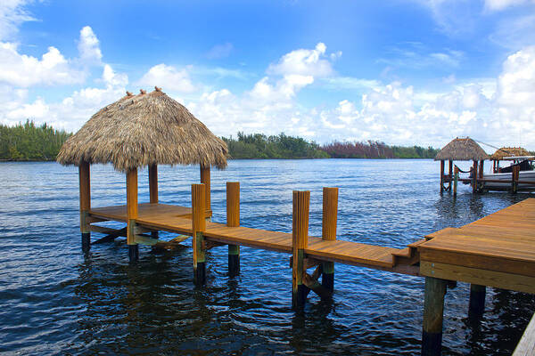 Intracoastal Art Print featuring the photograph Dock in the Intracoastal 10 by Carlos Diaz