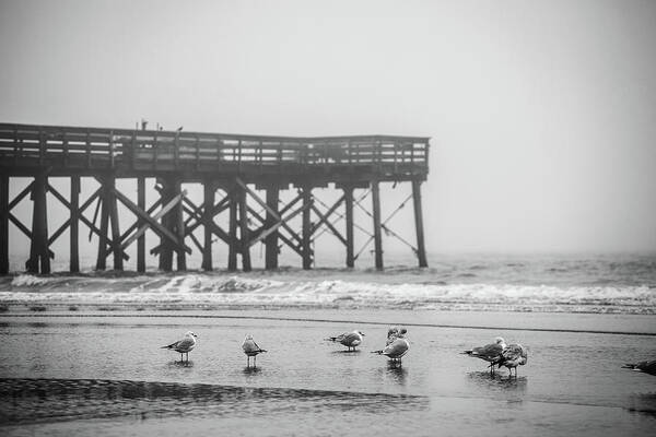 Isle Of Palms Art Print featuring the photograph Isle of Palms Pier and Fog by Donnie Whitaker