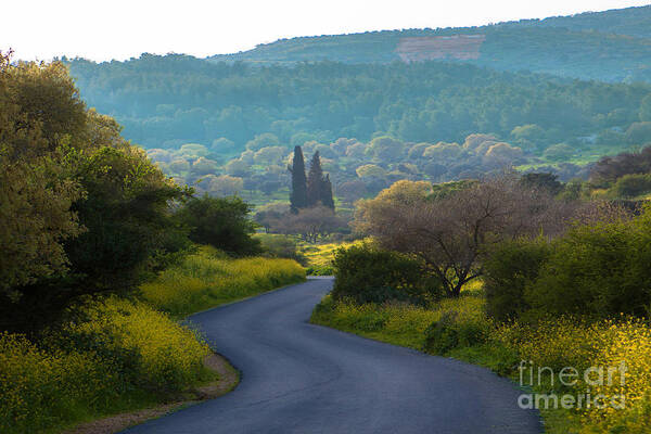 Israel Countryside Art Print featuring the photograph Israel Countryside by Nir Ben-Yosef