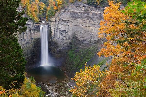 New York Art Print featuring the photograph Ithaca is Gorges by Tom Schwabel