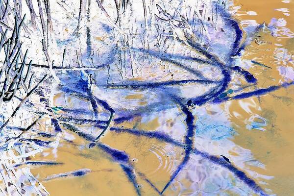 Surreal-nature-photos Art Print featuring the digital art Blue Mangrove I.C. by John Hintz