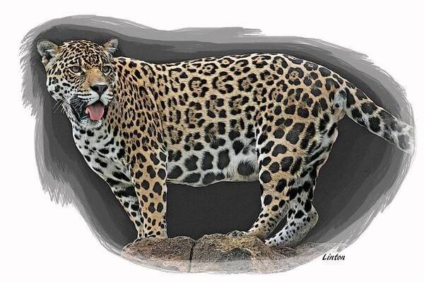 Jaguar Art Print featuring the digital art Jaguar 16 by Larry Linton