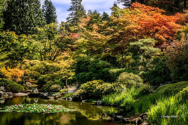 Japanese Gardens Art Print featuring the photograph Japanese Gardens Seattle by Claudia Abbott