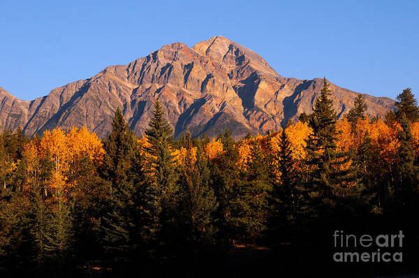 Terry Elniski Photography Art Print featuring the photograph Jasper - Pyramid Mountain Autumn Season by Terry Elniski