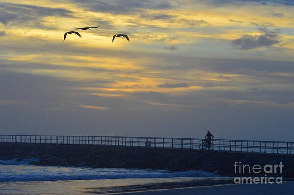 Cyclist Art Print featuring the photograph Jetty sunrise with Pelicans and cyclist 12-27-15 by Julianne Felton