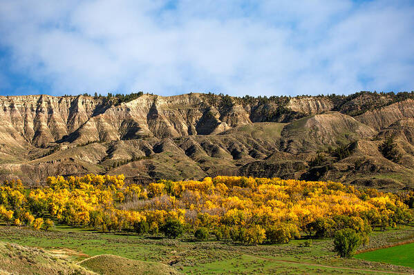 Autumn Art Print featuring the photograph Judith River Autumn by Todd Klassy